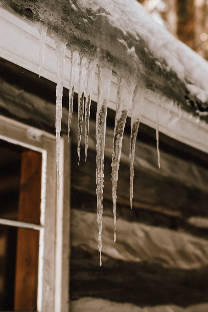 winter cabin elopement