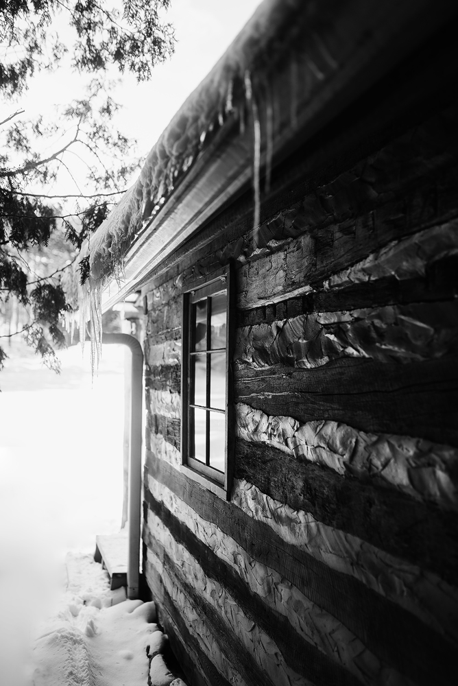 winter cabin elopement