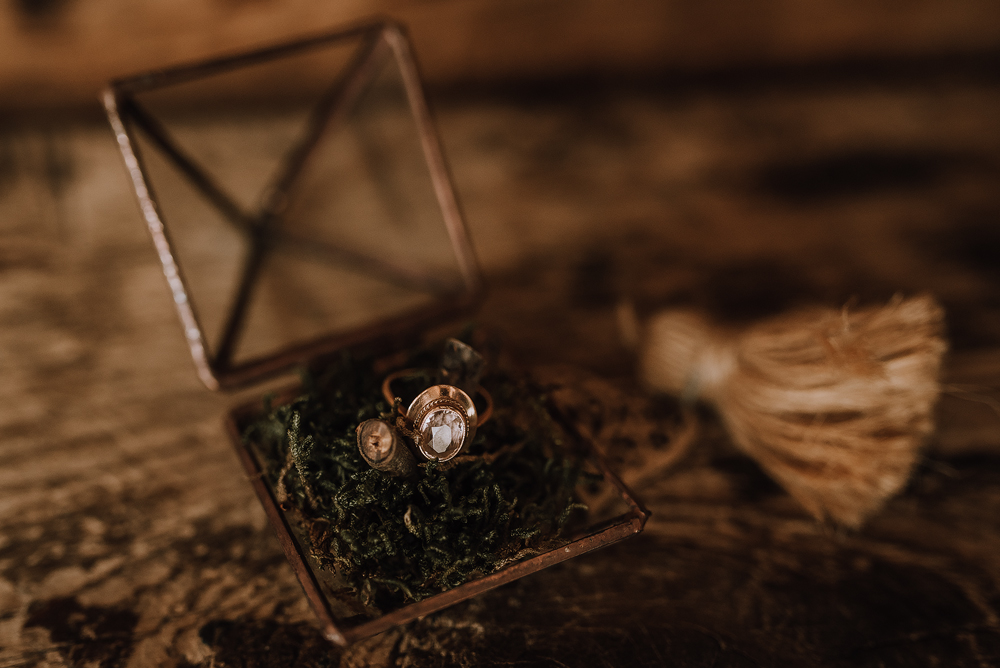 winter cabin elopement