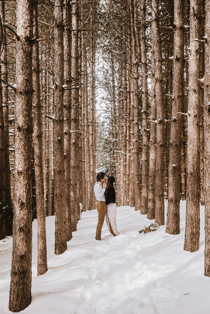 winter cabin elopement