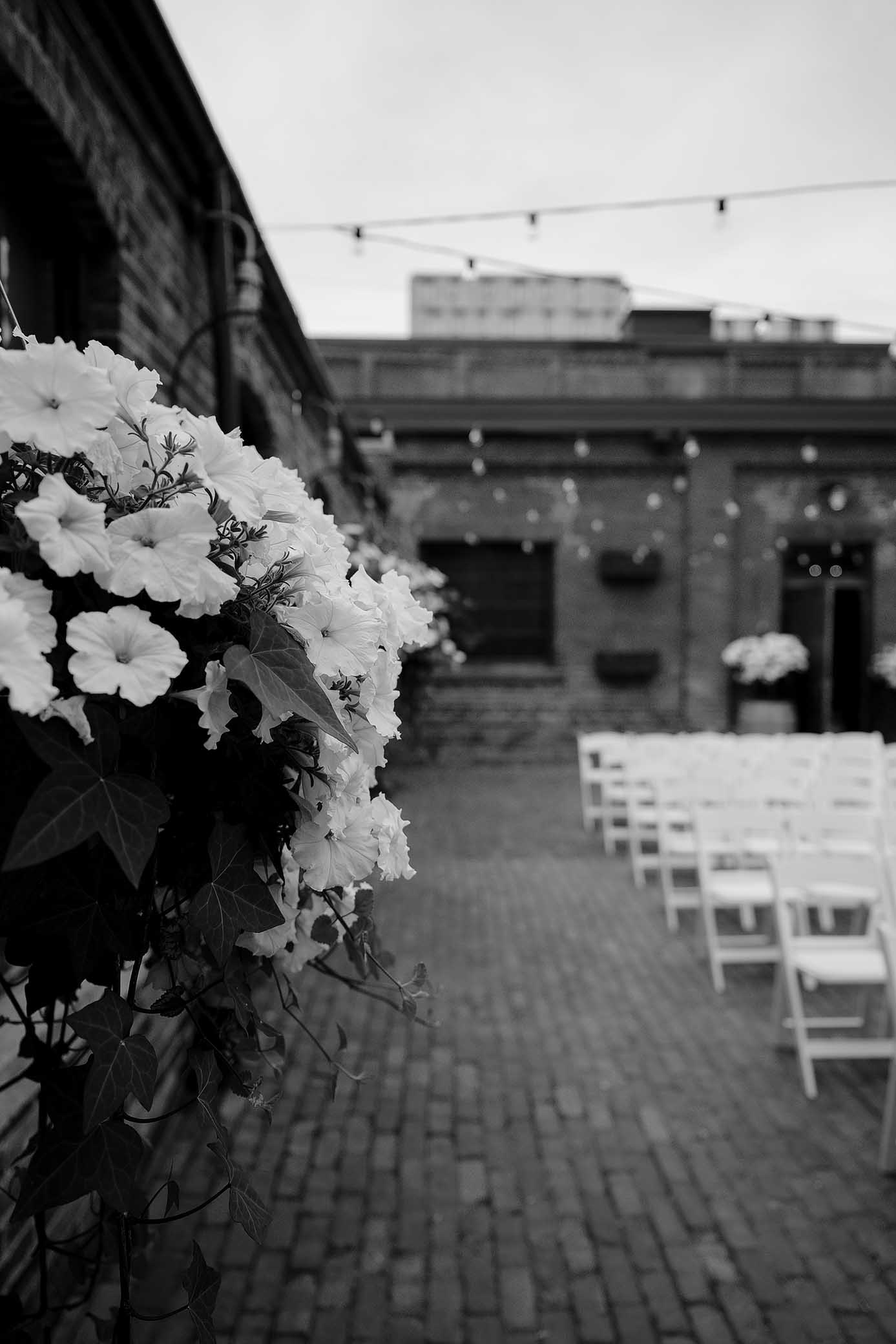 distillery-archeo-wedding