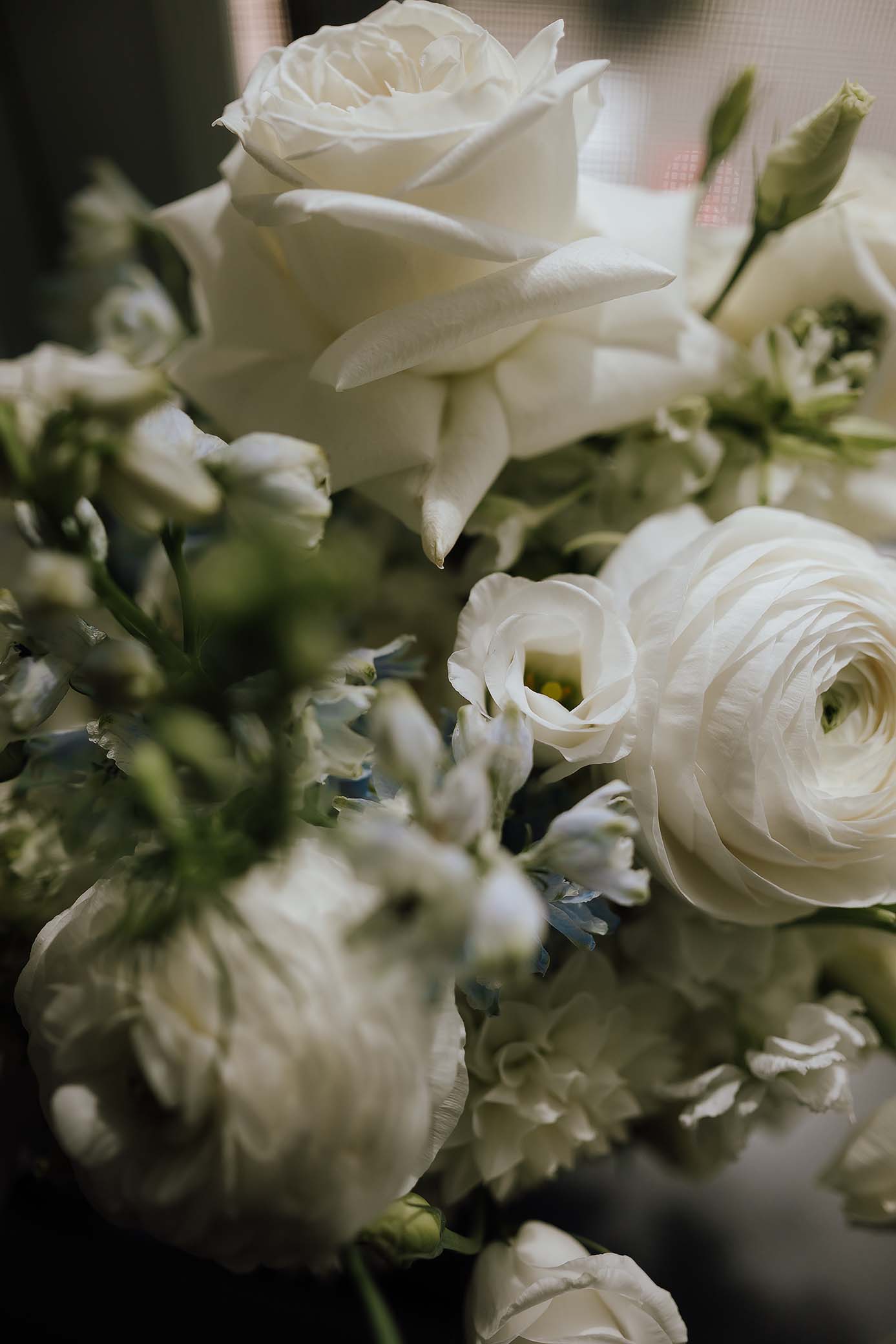 arlington-estate-wedding